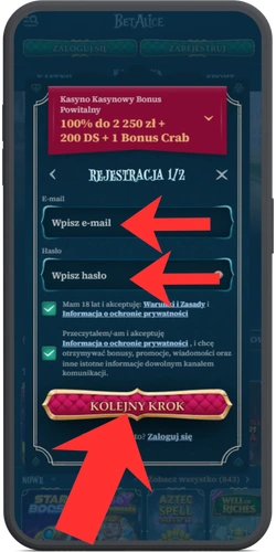 E-mail i hasło Betalice